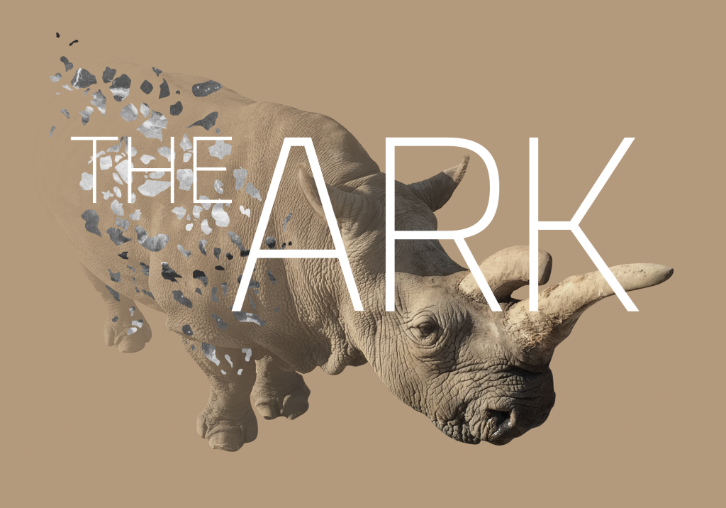 the ark